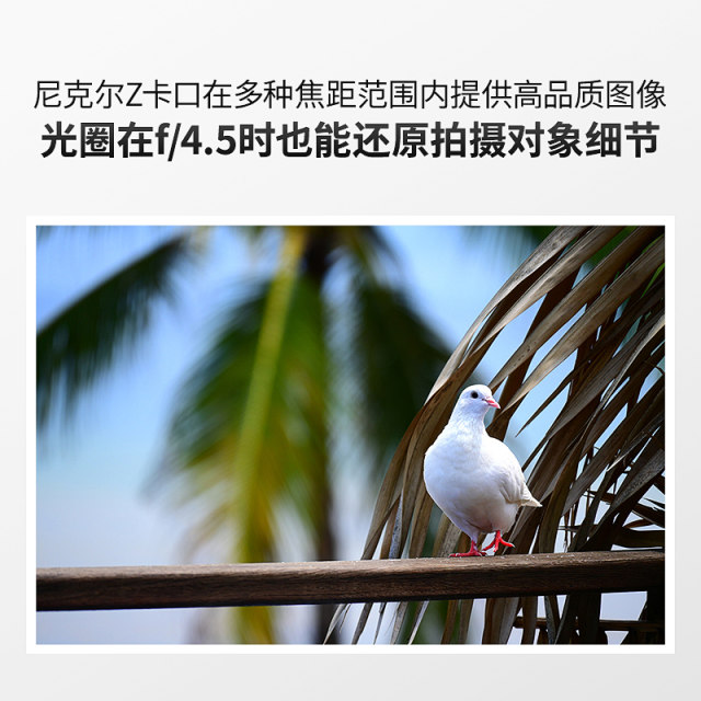 Nikon Z DX 50-250mm f/4.5-6.3VR telephoto zoom micro-single lens