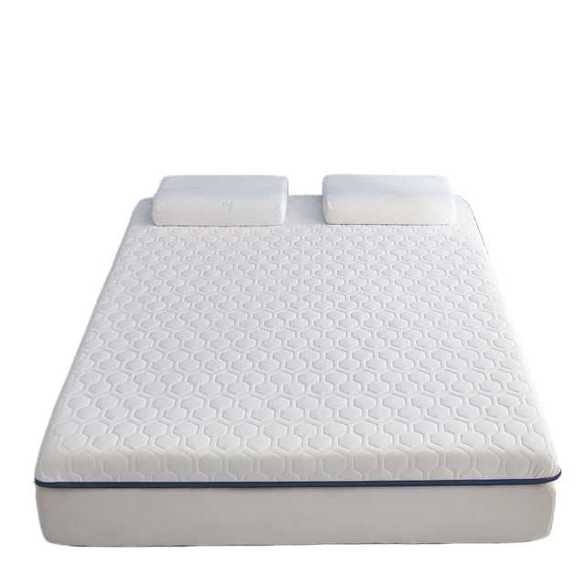 Latex mattress dormitory student single 90x190 soft cushion household tatami mat quilt rental special floor shop