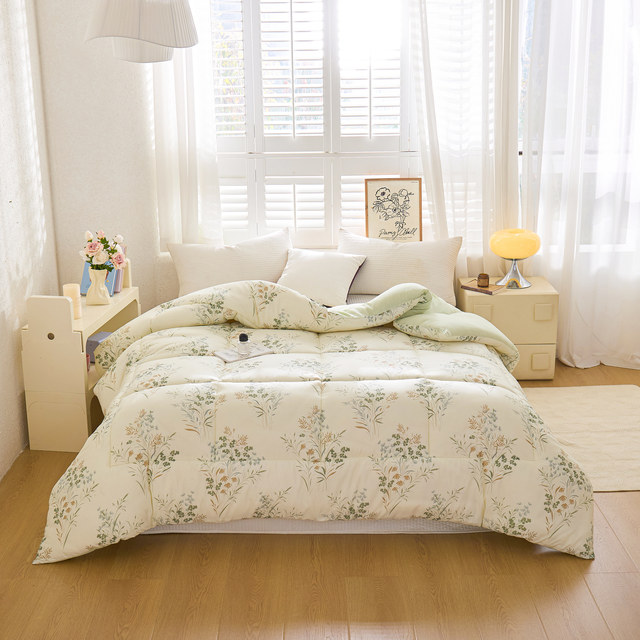 Winter quilt, winter quilt, thickened warm cotton quilt core, winter student dormitory single spring and autumn quilt, universal for all seasons