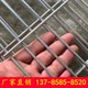 Galvanized iron wire welded mesh breeding fence protective mesh dog cage pigeon shed leakage mesh long hole mesh metal isolation