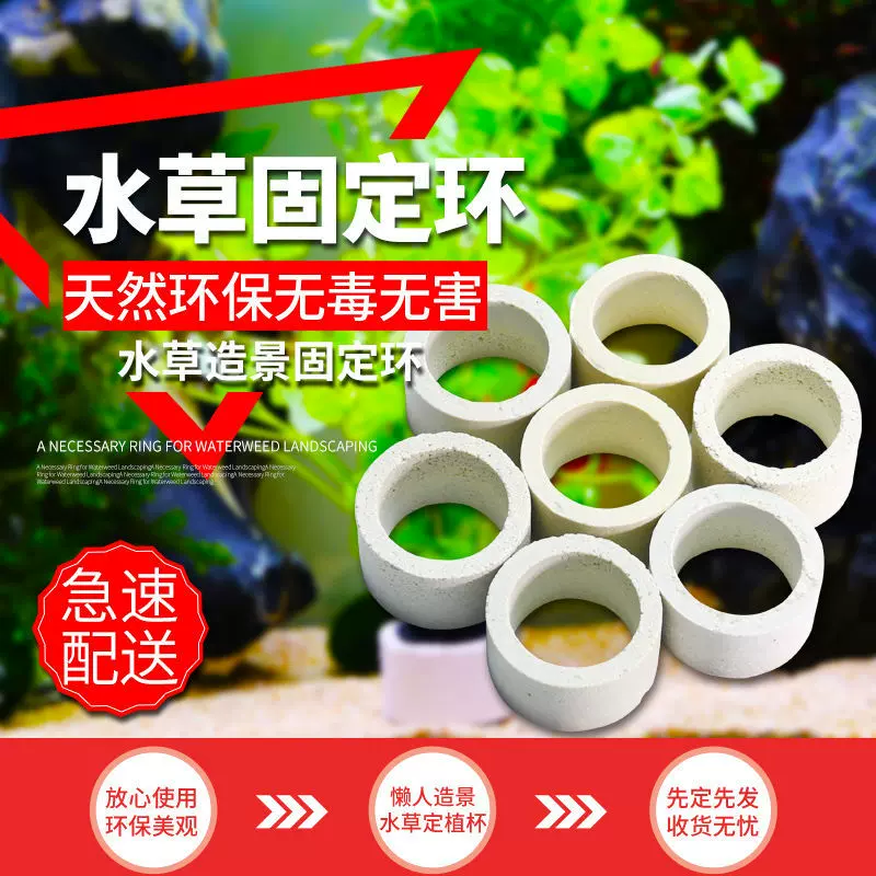 水草固定瓷环 新人首单立减十元 21年11月 淘宝海外