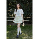 Summer and Korean mesh puffy skirt high waist design fashionable small temperament skirt women