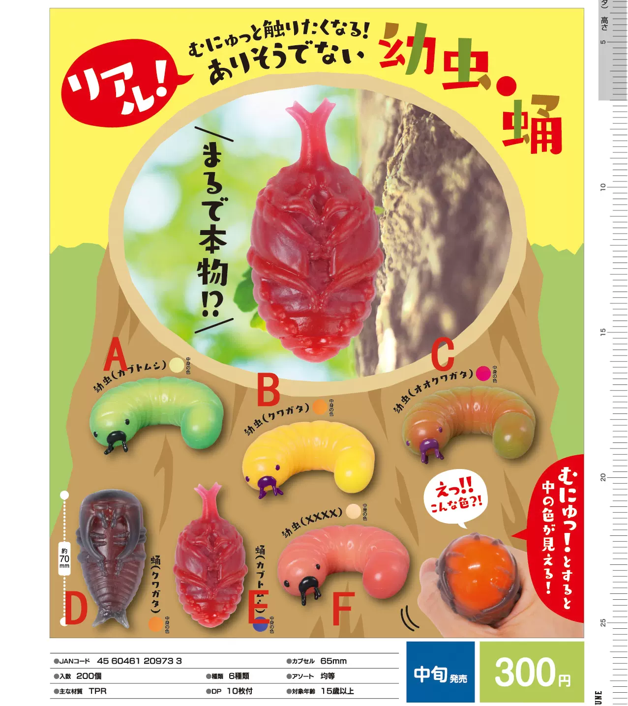 甲虫独角仙幼虫 新人首单立减十元 21年12月 淘宝海外