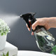 Household air pressure flower watering spray bottle gardening succulent plant watering kettle small disinfection flower watering sprayer watering kettle