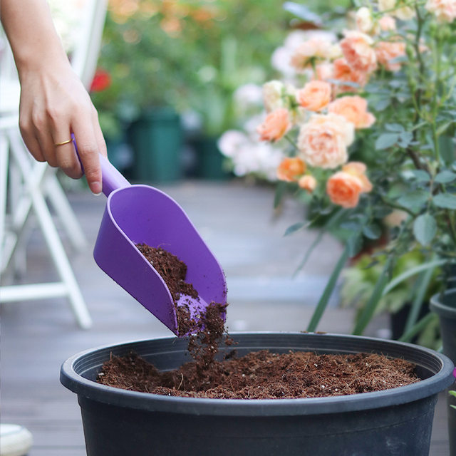 Planting flower tool thickened plastic earth shovel cat shovel shovel balcony vegetable vegetables, flesh -meat digging shovel gardening gardening planting vegetables pine shovel
