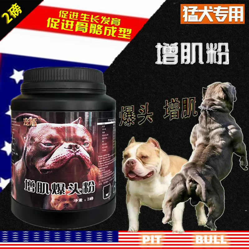 求有意飼養秀型比特的朋友 A K Aqua Kennel 隨意窩xuite日誌