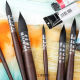 Martini Red Fat Upgrade Edition Brown Fat Rats Pens Program Professional Round Animal Fool Motor brush
