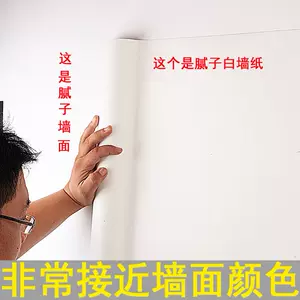 纯白壁纸漆 新人首单立减十元 22年10月 淘宝海外