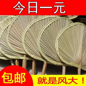 大扇子柄 新人首单立减十元 22年7月 淘宝海外