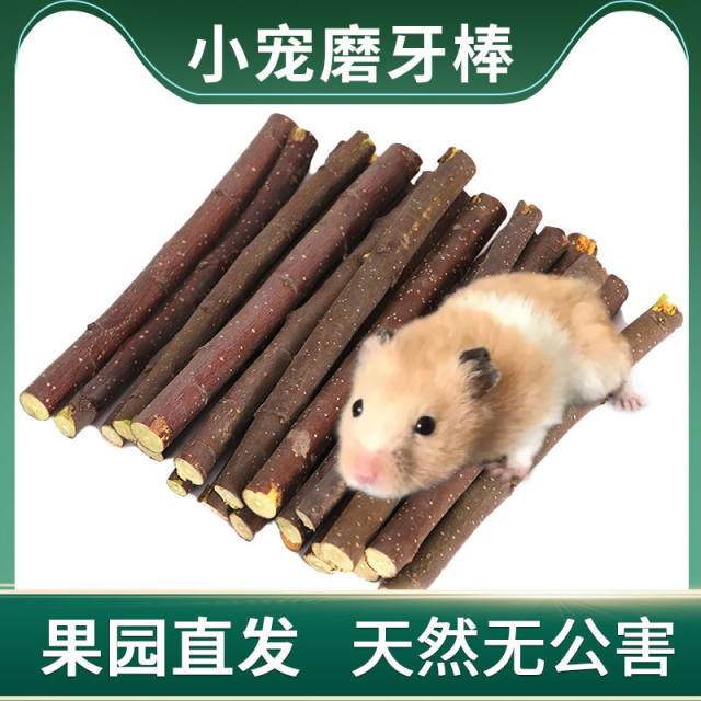 Hamster molar stick drying apple branches chinchilla guinea pig guinea pig rabbit small pet universal wood chewing molar fruit branch