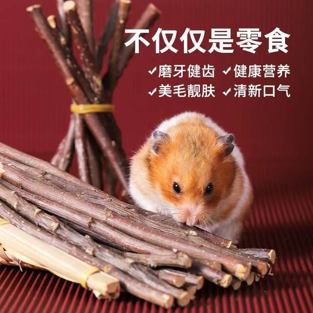 Hamster molar stick drying apple branches chinchilla guinea pig guinea pig rabbit small pet universal wood chewing molar fruit branch