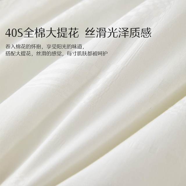 Mercury Home Textiles Cotton Quilt Soy Fiber Quilt Thickened Winter Quilt Two-in-One Mother Quilt Spring and Autumn Quilt Cotton Quilt Core