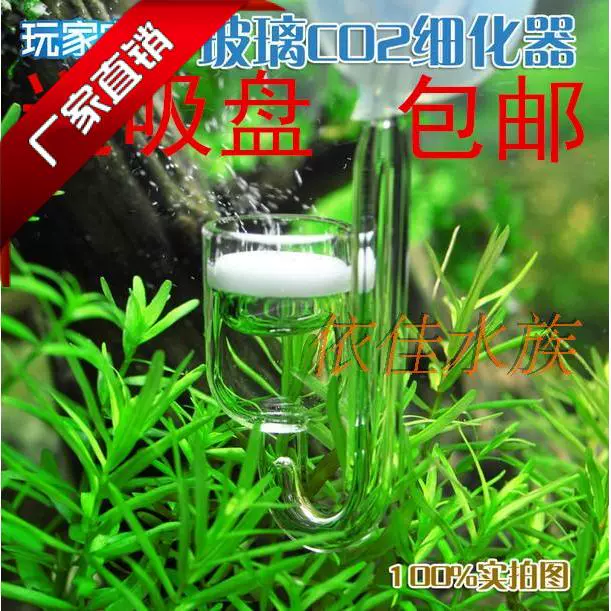 玻璃co2扩散器 新人首单立减十元 21年10月 淘宝海外