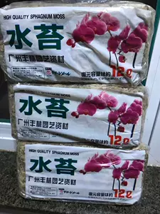 水苔蝴蝶兰专 新人首单立减十元 22年4月 淘宝海外