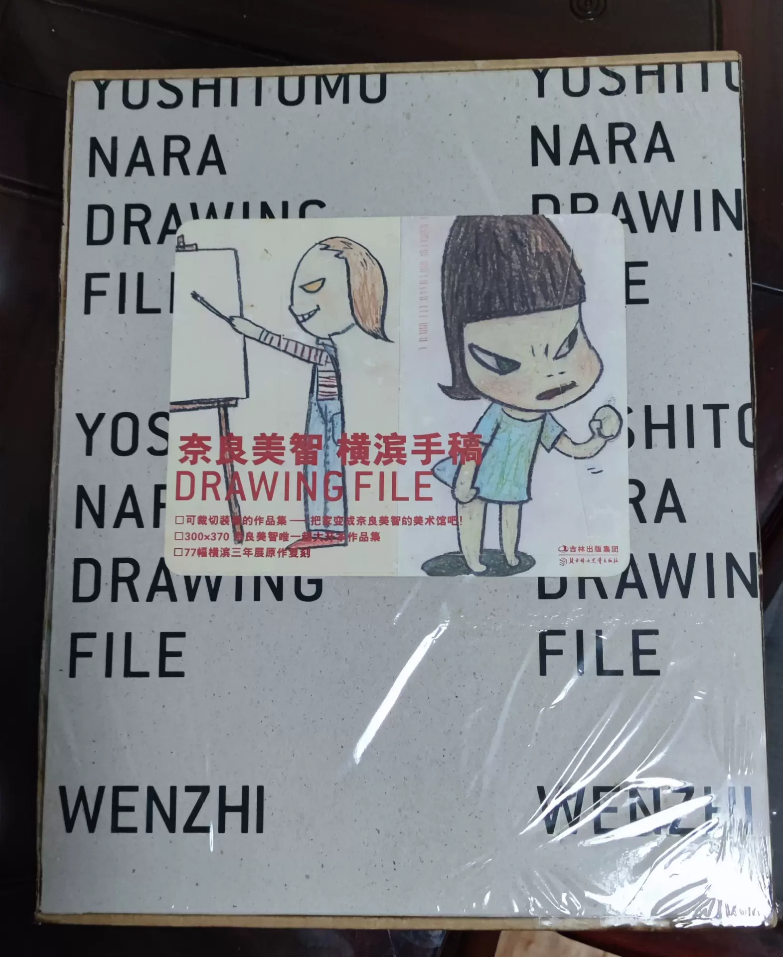 Amazon.co.jp: 未開封 入手困難 絶版 奈良美智 Drawing file