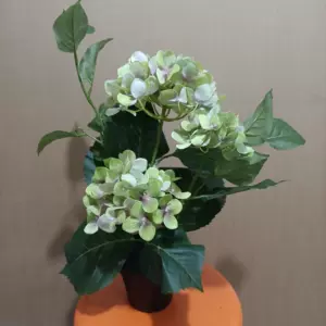 宜家假花仿真花 新人首单立减十元 22年6月 淘宝海外