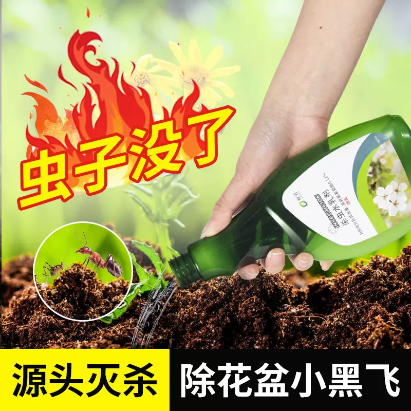 植物花卉杀虫剂土壤除花盆小飞虫小黑飞驱