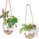 Hanging hydroponic egg-shaped glass vase wall hanging water plant container home gardening wall decoration pendant