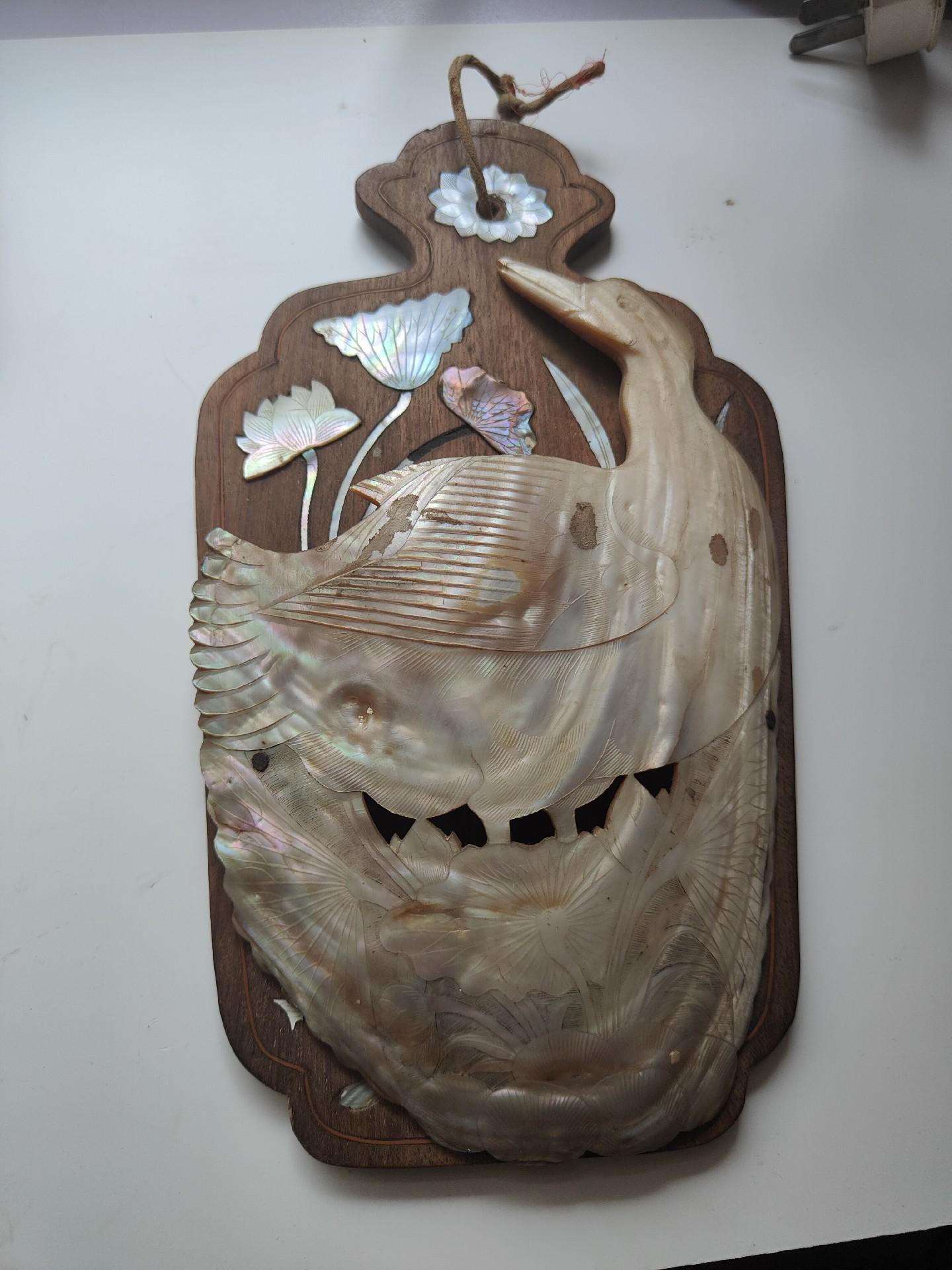 5㎝颜色深黄色  天然海螺贝壳标本收藏 拍0.