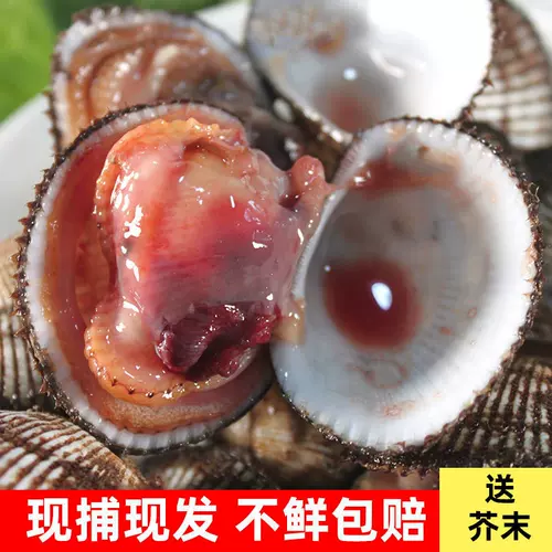 毛海毛蛤 新人首單立減十元 22年1月 淘寶海外