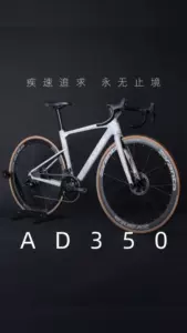 自行车-新人首单立减十元-2023年9月|Taobao