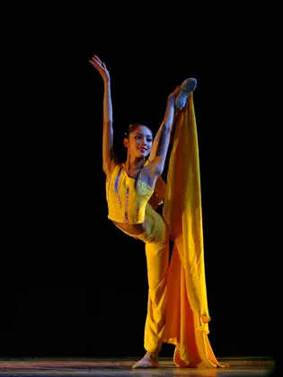 传统舞蹈画 新人首单立减十元 22年2月 淘宝海外