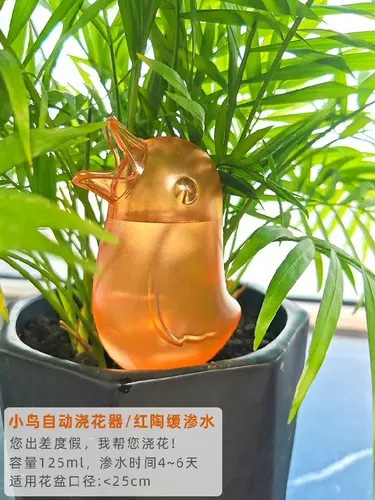 兰花盆栽浇水 新人首单立减十元 22年2月 淘宝海外