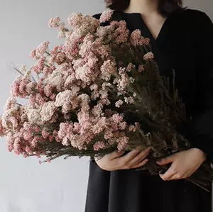 小米花永生花 新人首单立减十元 22年5月 淘宝海外