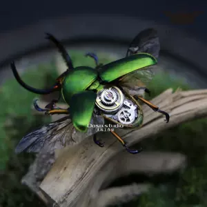 锹甲虫标本 新人首单立减十元 22年7月 淘宝海外