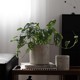 Cement flower pot simple creative personality green planting potted green spoofo and succulent medieval style creative flower pots 侘 水 水 水 水
