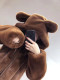 2025 autumn and winter new cute bear ear plush warm jacket for women plus velvet loose hooded jacket for women