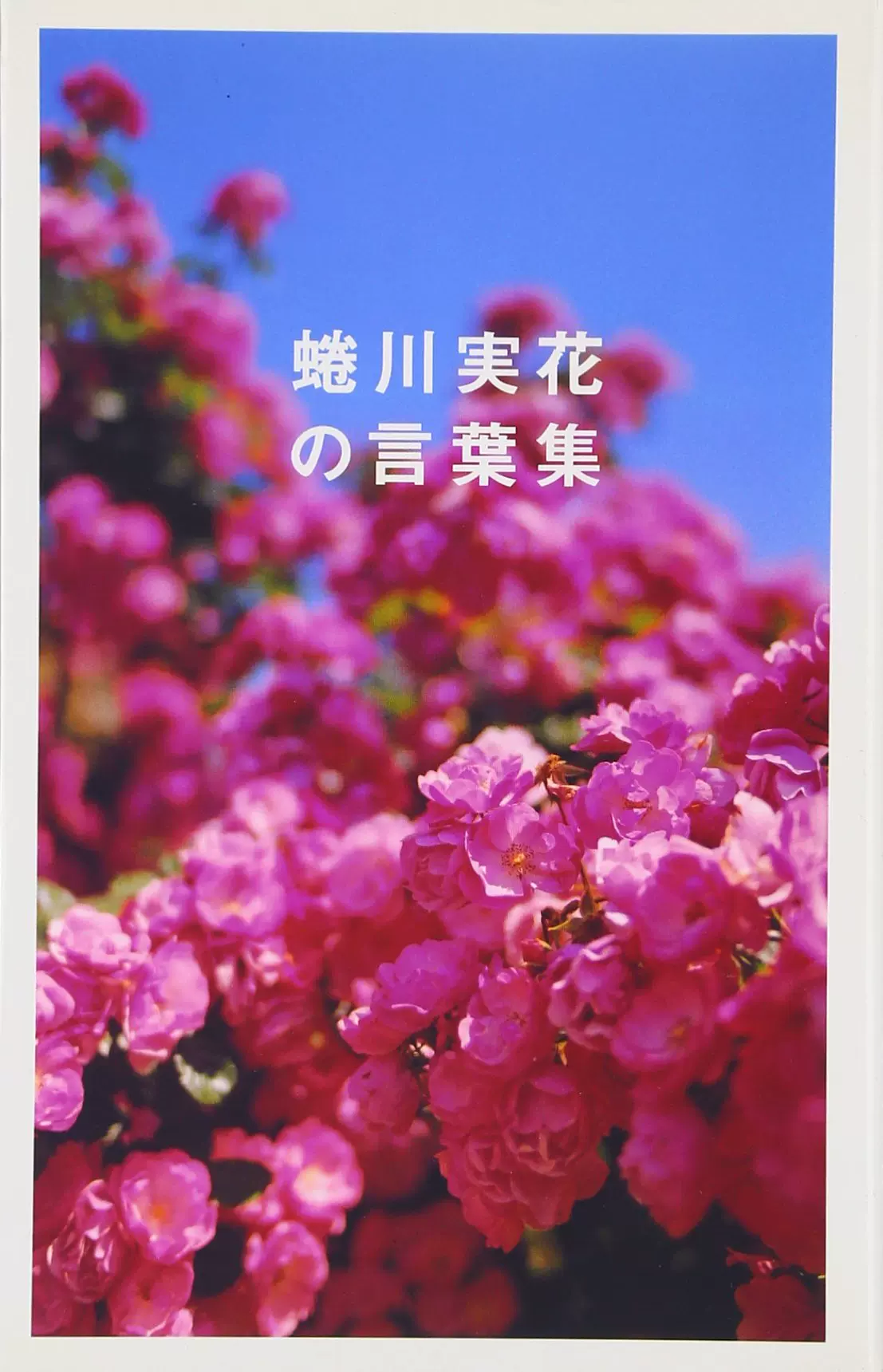 花言集 新人首单立减十元 21年12月 淘宝海外