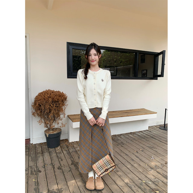 cozy days retro checkered long skirt 2025 autumn new slit A-line high-waisted skirt for women long winter