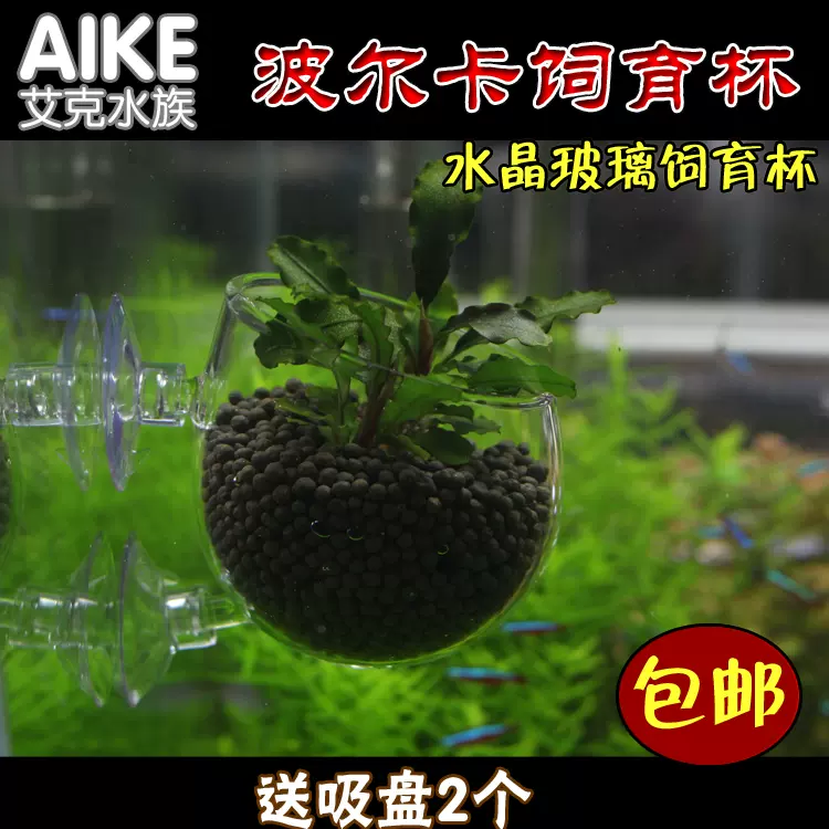 水草种植杯饲育盆 新人首单立减十元 21年11月 淘宝海外