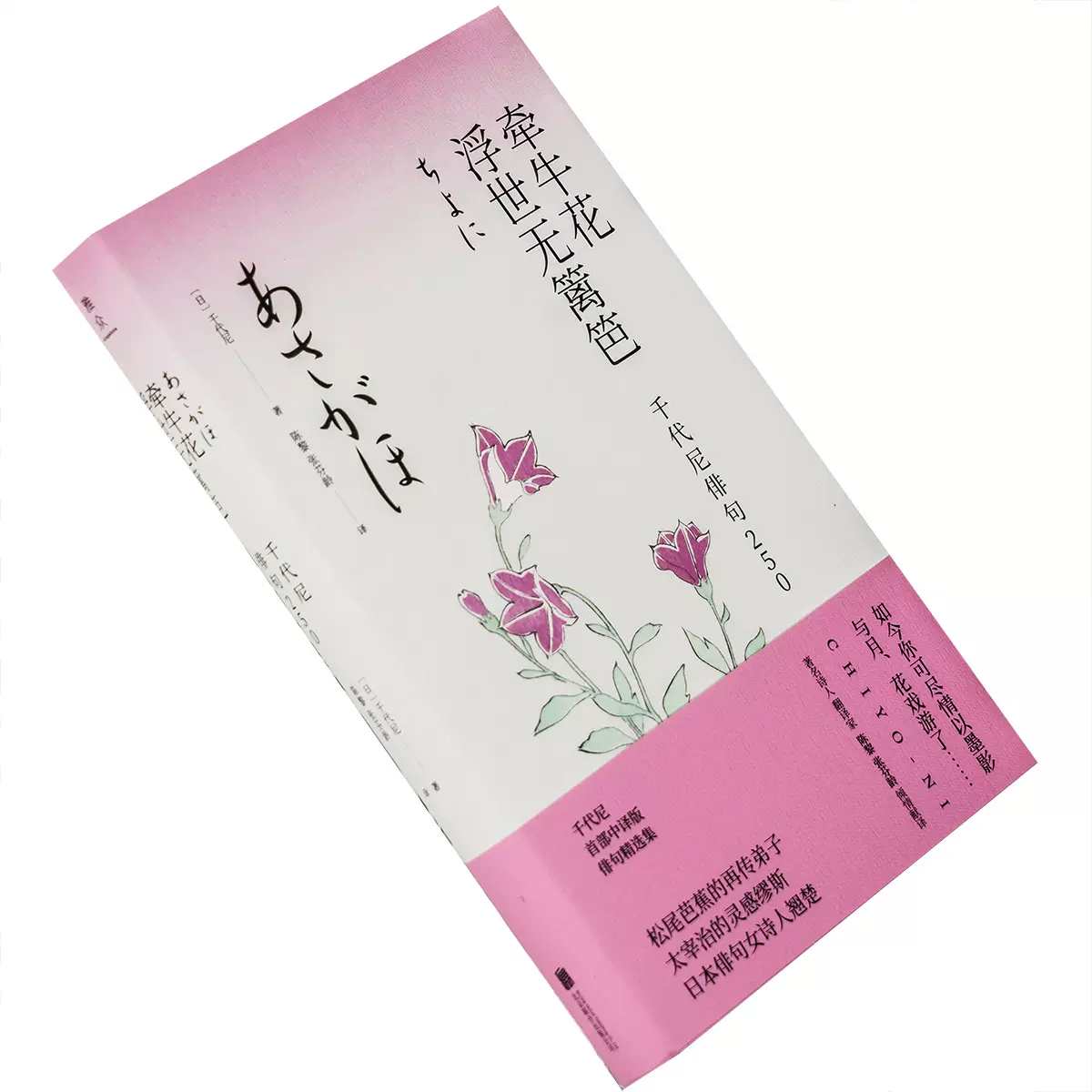 日本短歌 新人首单立减十元 21年11月 淘宝海外