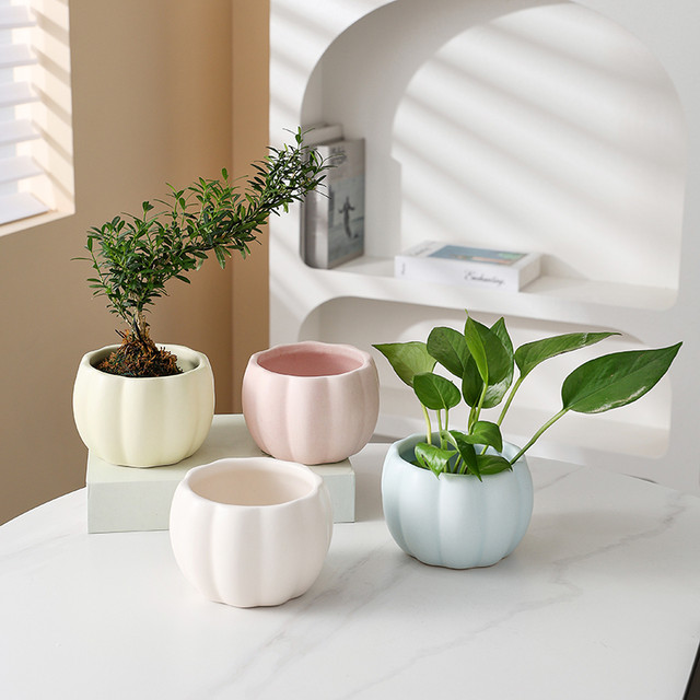 Nordic style creative colorful succulent pots ceramic pumpkin ins style flower pots home gardening green plants bedroom desktop