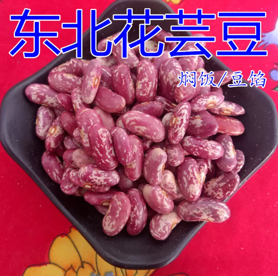 芸豆东北农家花芸豆红花芸豆饭豆腰豆紫花豆东北特产