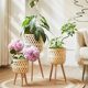 Nordic Bamboo Flowerpot Flower Stand Living Room Plant Flower Basket Decoration Monstera Balcony Ornament Internet Celebrity Floor Stand