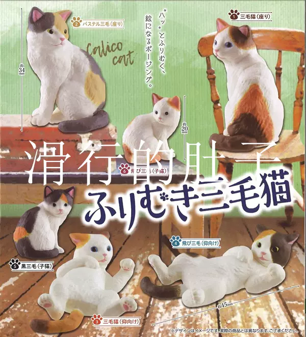 三毛猫 新人首单立减十元 21年12月 淘宝海外