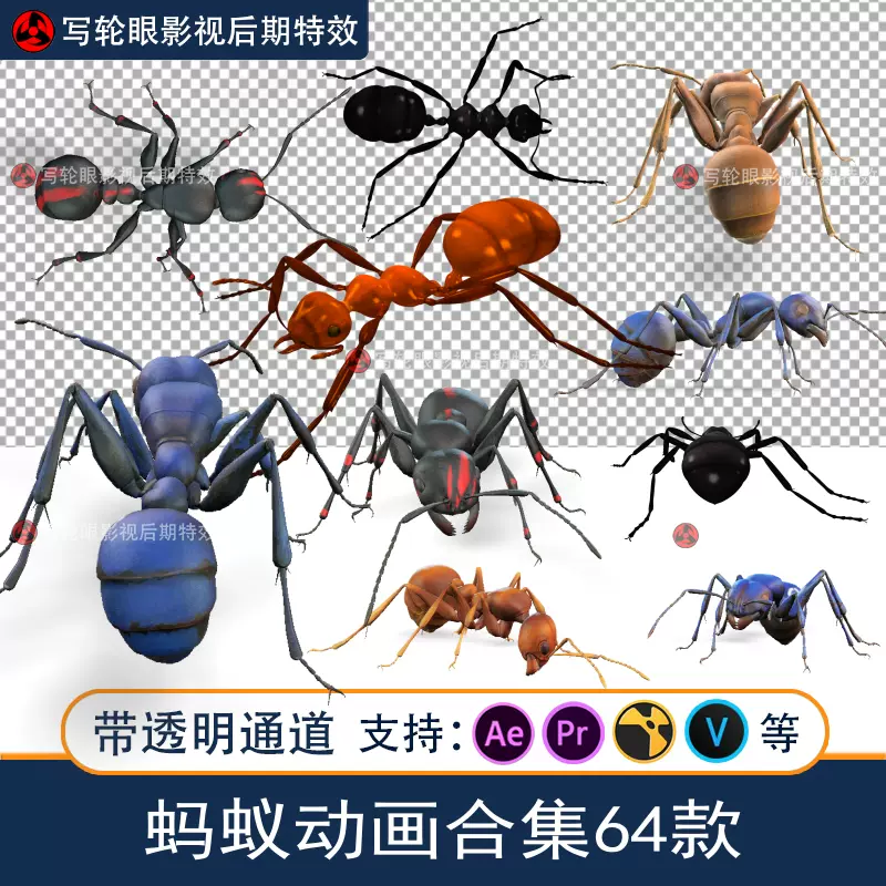 飞蚁-新人首单立减十元-2021年12月淘宝海外