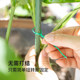 Japanese imported gardening binding wire, flower path, plant fixing rope, snack data cable strap with own cutter
