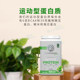 Sunwarrior ACTIVE PROTEIN PERIODIC PROTEIN PROBE PREBIAL INFLUENCE PROBE PREBIAL INFLUENCE PROBE POLYMER
