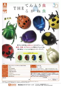 昆虫标本日本 新人首单立减十元 22年4月 淘宝海外
