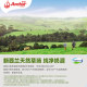 Anchor New Zealand imported milk high calcium high protein whole milk powder 900g*2 cans gift box