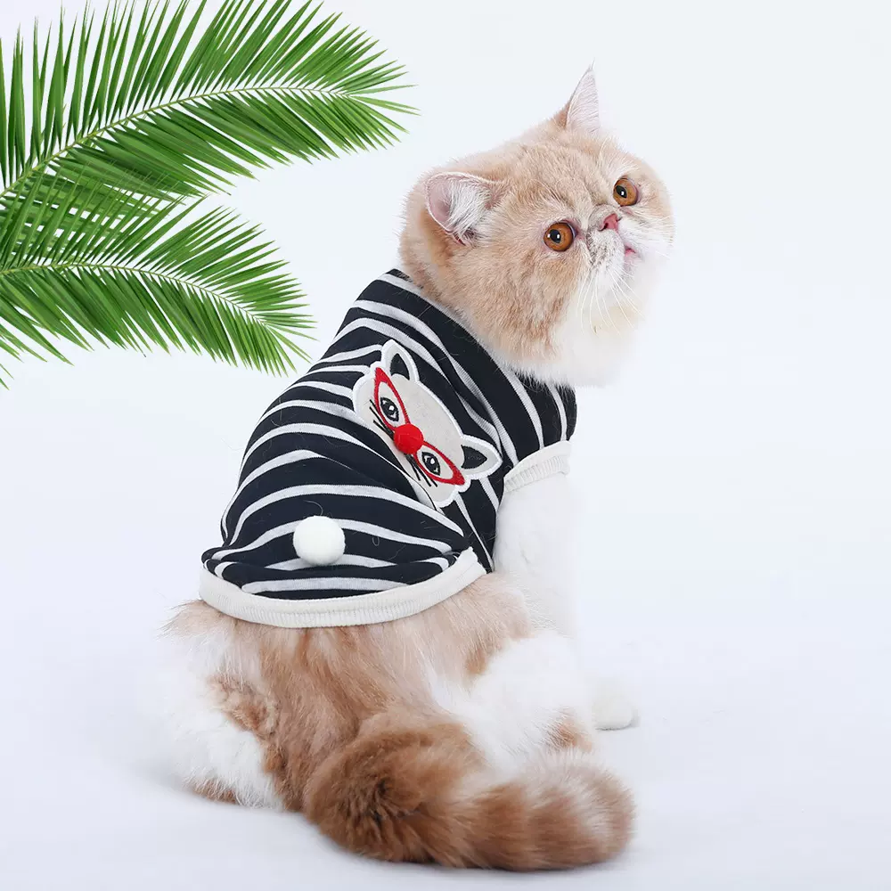 猫咪衣服夏季薄款幼猫英短蓝猫加菲猫无毛猫宠物