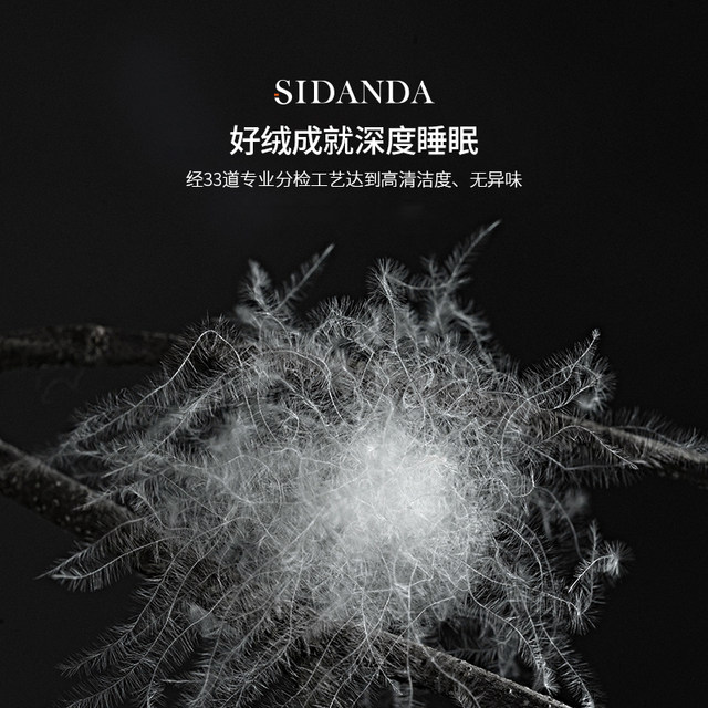 SIDANDA5A down quilt 95 white goose velvet winter quilt thickened warm spring and autumn quilt core 120 cotton antibacterial