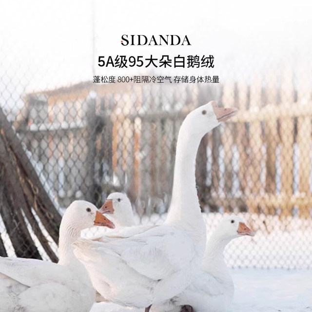 SIDANDA5A down quilt 95 white goose velvet winter quilt thickened warm spring and autumn quilt core 120 cotton antibacterial