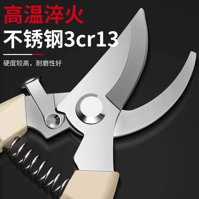 Gardening shears, pruning shears, flower shears, garden shears, floral shears, branches, fruit tree scissors, branch shears, flower scissors.