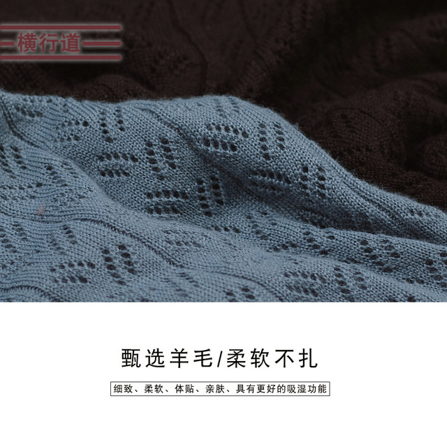 2025 autumn new style v-neck long-sleeved sweater lapel wool sweater casual loose solid color top women's bottoming
