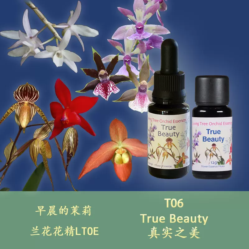 生命之花祭坛 新人首单立减十元 21年12月 淘宝海外